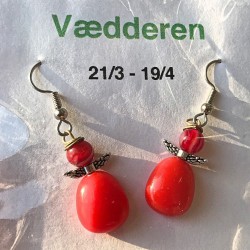 Engleøreringe - vædderens tegn