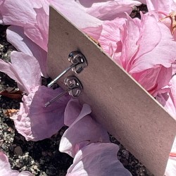 Lilla Ørestikkers i glas