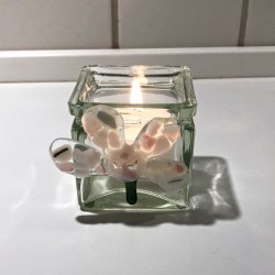 Lille lysholde Lille lysholde